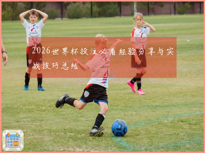 2026世界杯投注必看经验分享与实战技巧总结