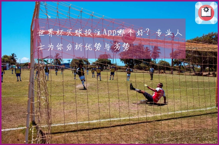 世界杯买球投注App哪个好？专业人士为你分析优势与劣势