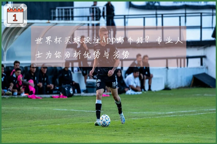 世界杯买球投注App哪个好？专业人士为你分析优势与劣势