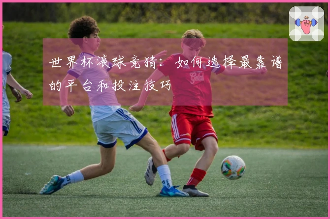 世界杯滚球竞猜：如何选择最靠谱的平台和投注技巧